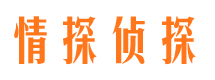 湘潭捉小三公司